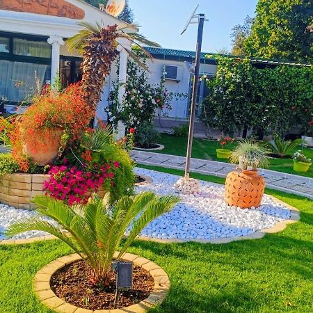 Hotel Chopin Фиумичино Екстериор снимка